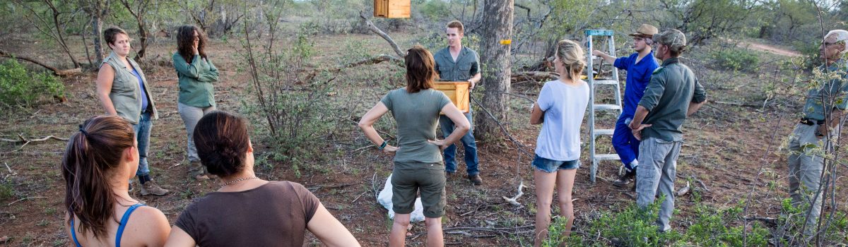 Beehives were introduced to protect Marula trees